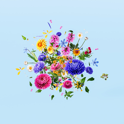 Colorful spring flowers on blue background. Spring is here concept with exploding flowers and petals. 3D Rendering, 3D Illustration