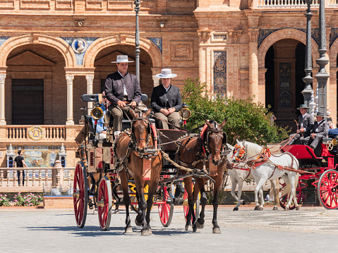 Two horses pull a adorned carriage, in a beautiful Spanish square.