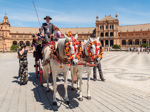 Two white horses pull a adorned carriage, in a beautiful Spanish square.