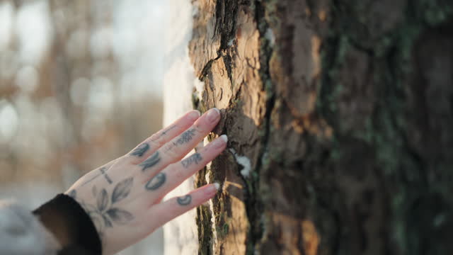Woman caressing a tree as she walks by it in the forest