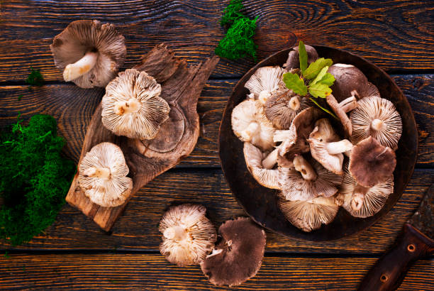 istock Gray mushrooms on plate on a dark wooden board. 1962467683