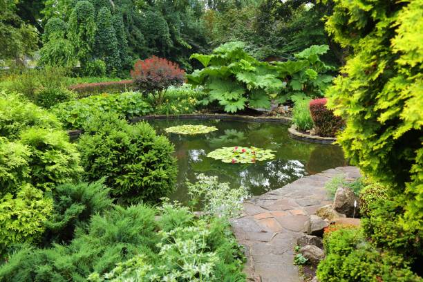 istock Botanical garden plants in Poland 1962480687