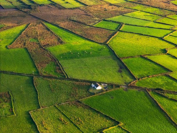 View of surroindings of Feothanach or an Fheothanach. It is a small village and townland in the Corca Dhuibhne Gaeltacht, located 13 km north-west of Dingle on the Dingle Peninsula in County Kerry, Ireland.