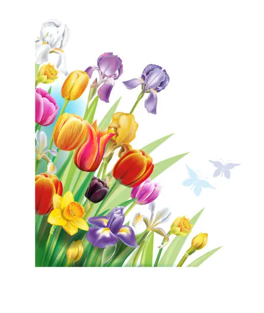 Vector illustration of Arrangement with multicolor spring flowers