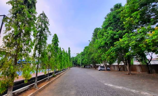 istock Treelined road and pedestrian walkway. 1962577896
