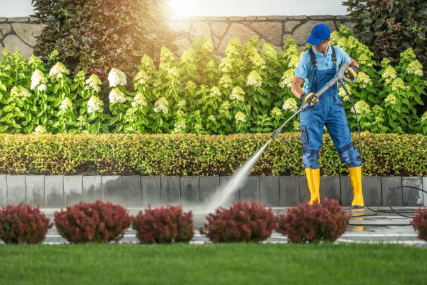 istock Washing Elegant Residential Driveway Using Pressure Washing Equipment 1962586653