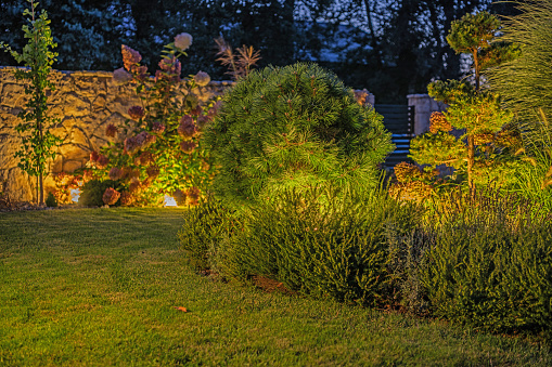 Elegant Backyard Garden Illuminated by Outdoor LED Lighting System