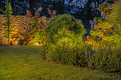 Backyard Garden Illuminated by LED Lighting System