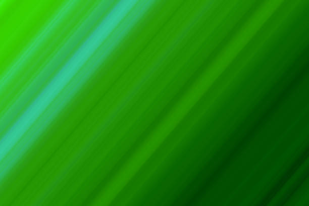 istock Pastel green hypnotic psychedelic abstract lines background wallpaper. 1962626957