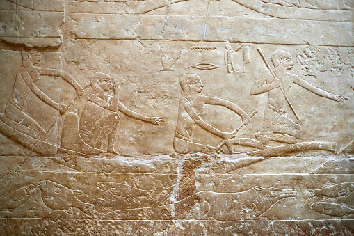A boat scene with four men leading rowing in the Nile over a crocodile and fish, mastaba of Idut, Saqqara, Egypt