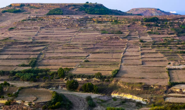 istock View from the walls of the rectangular fields on the island of Gozo, Malta 1962642370