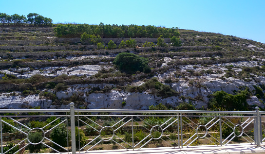 Stone landscape of Gozo island with xerophytic vegetation, Malta