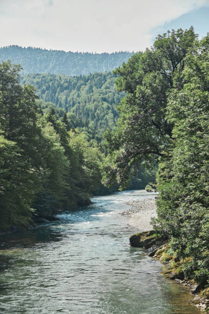 istock A mountain river flows through the natural landscape 1962679124