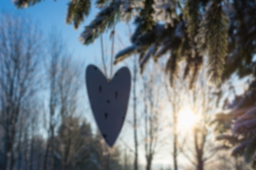 Blurry image One silhouette wooden heart hung on a spruce branch at sunset evening in a winter park.