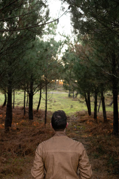 istock Back View of a Young Explorer Man Walking into the Forest 1962708012
