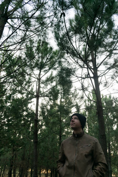 a young man in a woolen hat standing alone in a forest looking at the trees - forest preserve imagens e fotografias de stock