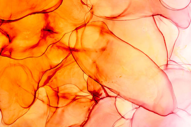 istock Alcohol ink fluid abstract art drawing photo shotting. 1962711720