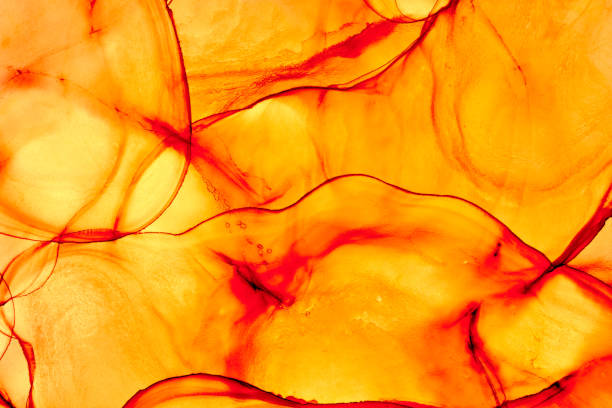 istock Alcohol Ink Invitation and fluid pattern photo. 1962712778