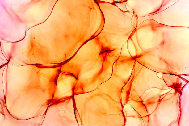 istock Alcohol Ink Invitation and fluid pattern photo. 1962712782