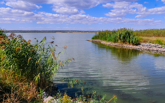 Peaceful Natural Landscape at Lake Yalpug, Ukraine