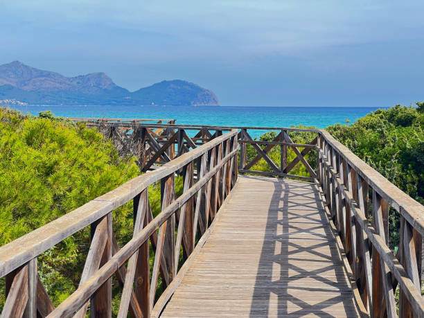 istock Way to the beach through a pine forest along a wooden path in Mallorca 1962769619