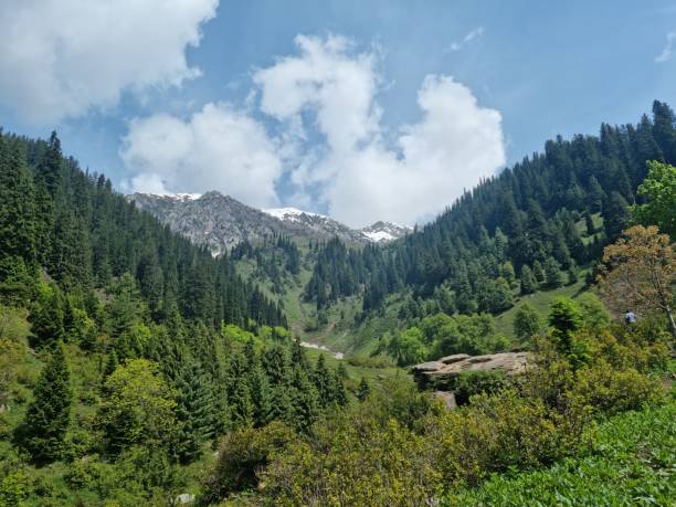 istock the lush green valley of kashmir 1962776287