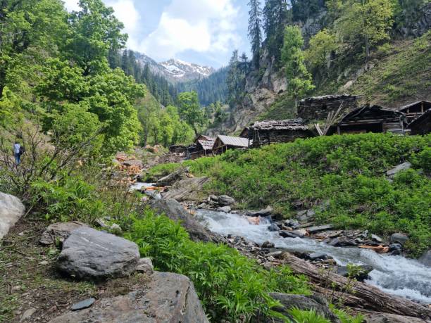 istock the lush green valley of kashmir 1962776288