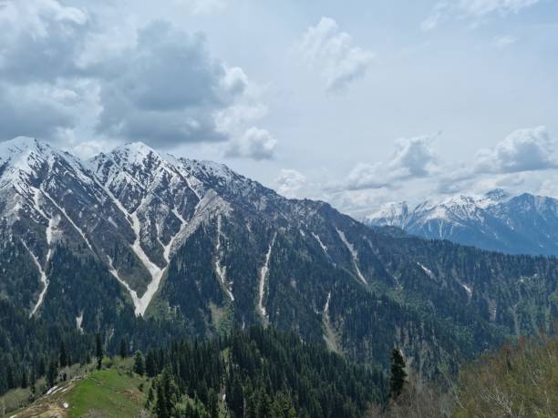 istock the lush green valley of kashmir 1962784205