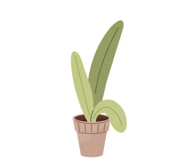 Vector illustration of Flower pot. Botanical gardens are treasure trove diverse plant species