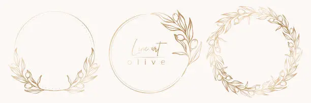 Vector illustration of Botanical line illustration set of olive branch wreath