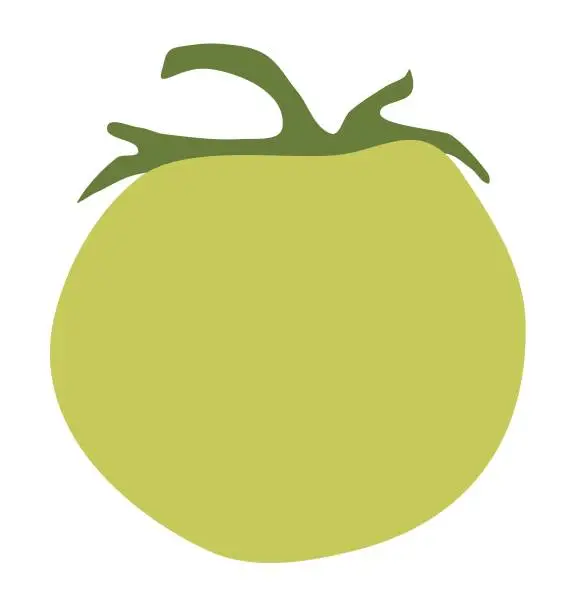 Vector illustration of Green Tomato