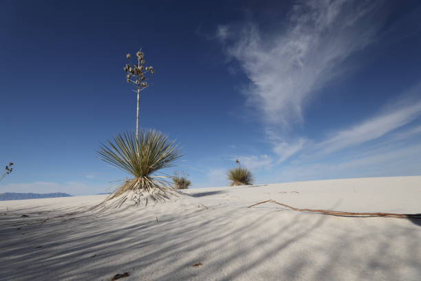 istock White Sands National Monument New Mexico USA 1962837238