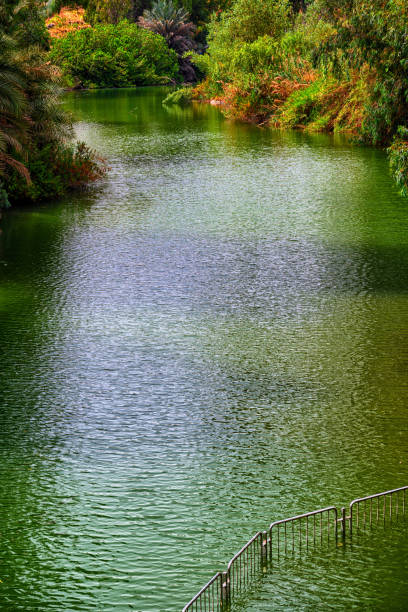 istock Holy Land Israel. Yardenit on Jordan River. 1962840426