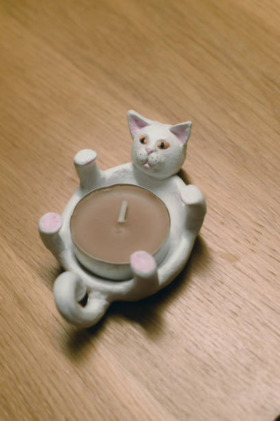 istock a cat sits on its hind legs holding a lit candle 1962846118