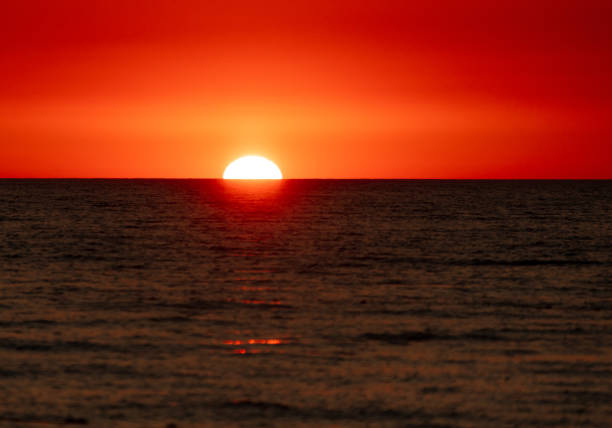 Sunset on the sea as a background.