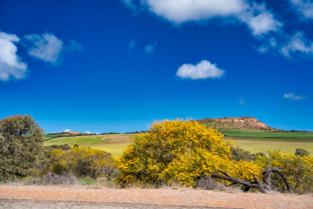 Driving across Western Australia roads.