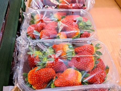 Strawberries in a plastic package lie on a shelf in the fruit and vegetable department in a supermarket. There are no persons or trademarks in the shot.