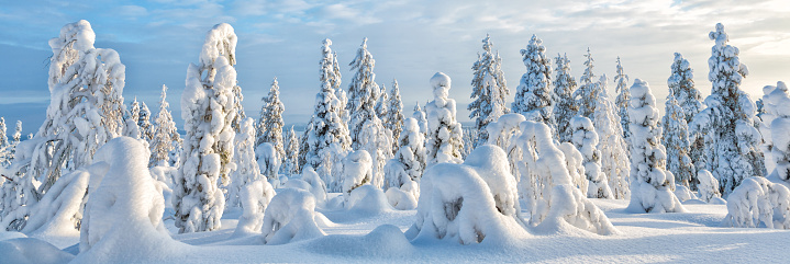 Winter scene in Lapland - background banner image
