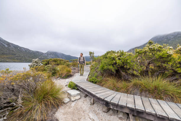 Amidst the captivating landscapes of Tasmania, a lone adventurer embarks on a long-distance walk, weaving through the untamed beauty of the wilderness. Each step tells a story of resilience and exploration as he navigates diverse terrains, from dense forests to open valleys. The air is crisp, carrying the essence of nature's purity. Against the backdrop of towering mountains and sprawling vistas, the man's silhouette paints a picture of determination and awe-inspired wanderlust. This is a journey etched with the footprints of solitude and the breathtaking beauty of Tasmania's unspoiled terrain.