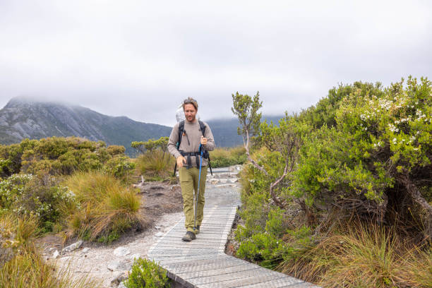 istock Lakeside Serenity: A Tranquil Hike Along a Wooden Pathway by the Water's Edge 1962902463