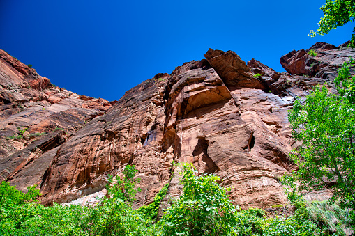 Red Mountains of Zion National Park on a summer day, Utah.