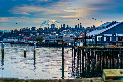 A view of buildings in Tacoma, Washington with Mount Rainier behind.