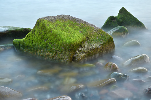 Baltic sea, cold sea water. Waves about stones, Stones with water grass. Coastal stones