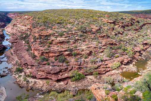 River trail to Murchison River in Kalbarri National Park, Western Australia.