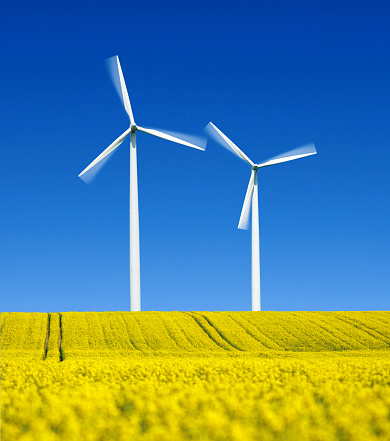 a yellow oilseed rape, rapeseed field with two white wind turbines, rotating, turning, motion blur, digital compositing