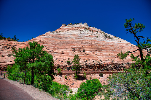 Red Mountains of Zion National Park on a summer day, Utah.