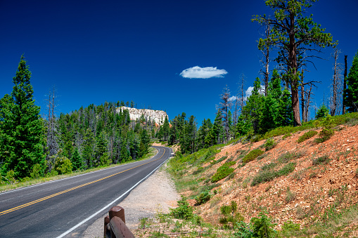 Road across Bryce Canyon National Park, Utah.