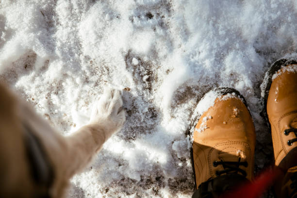 istock A Dog paw and human on Winter snow 1962967958