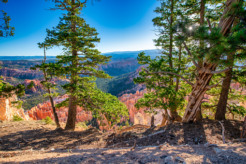 Amazing rock sculptures of Bryce Canyon National Park, Utah.