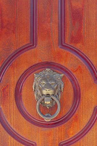 Brass Metal Lion Head Knocker Ring at Wooden Door House